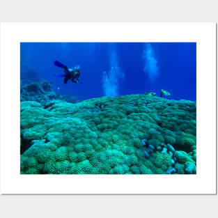 Coral Reef and scuba diver Posters and Art